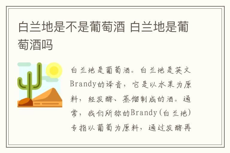 白兰地是不是葡萄酒 白兰地是葡萄酒吗
