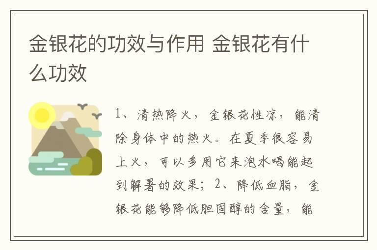 金银花的功效与作用 金银花有什么功效