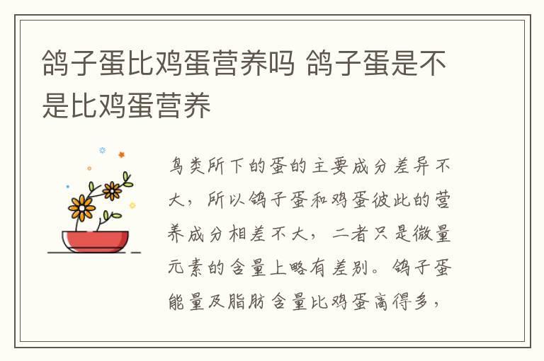 鸽子蛋比鸡蛋营养吗 鸽子蛋是不是比鸡蛋营养