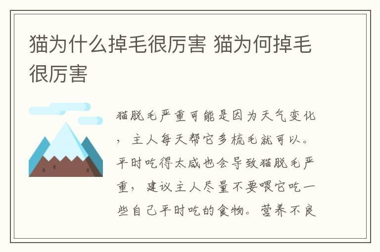 猫为什么掉毛很厉害 猫为何掉毛很厉害
