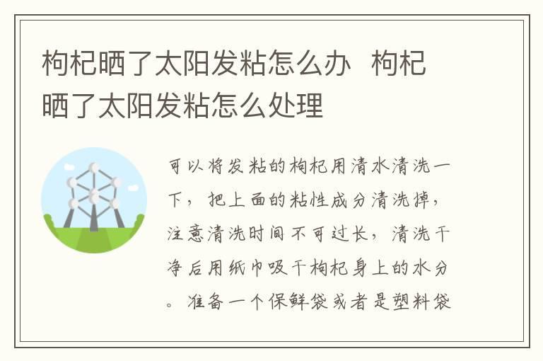 枸杞晒了太阳发粘怎么办 枸杞晒了太阳发粘怎么处理