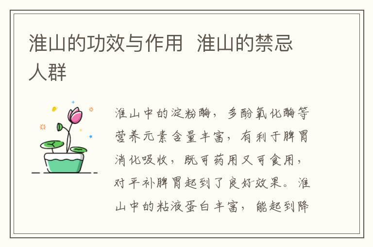 淮山的功效与作用 淮山的禁忌人群