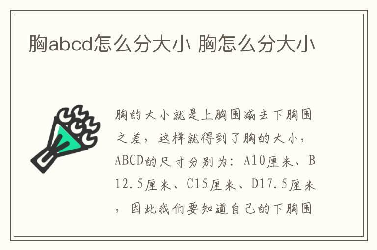胸abcd怎么分大小 胸怎么分大小