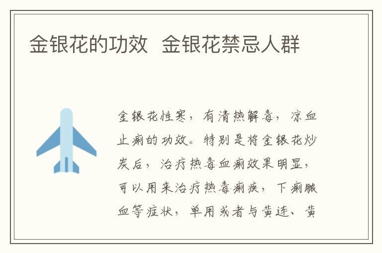 金银花的功效 金银花禁忌人群