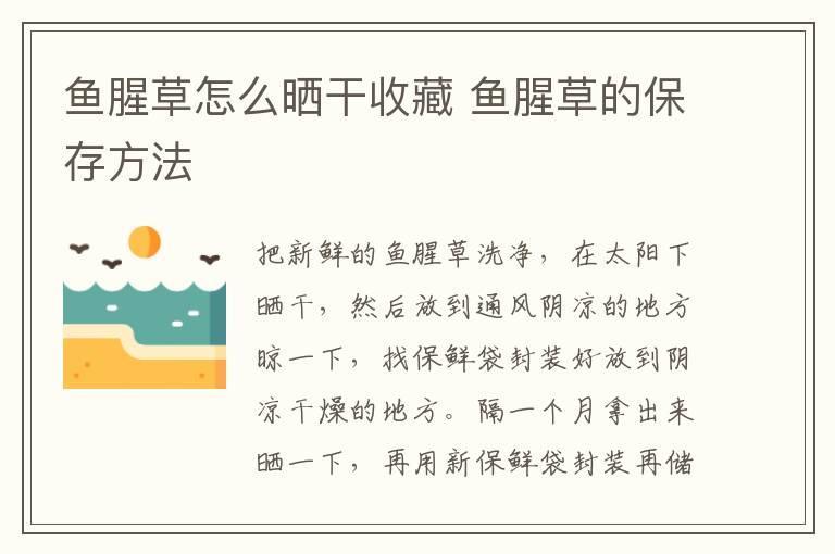 鱼腥草怎么晒干收藏 鱼腥草的保存方法