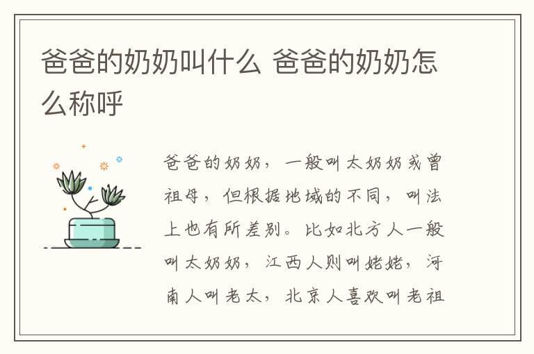 爸爸的奶奶叫什么 爸爸的奶奶怎么称呼
