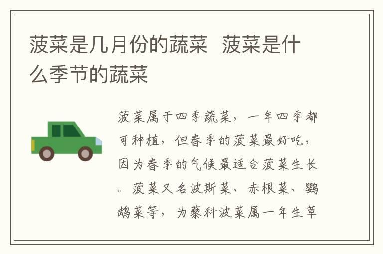 菠菜是几月份的蔬菜  菠菜是什么季节的蔬菜