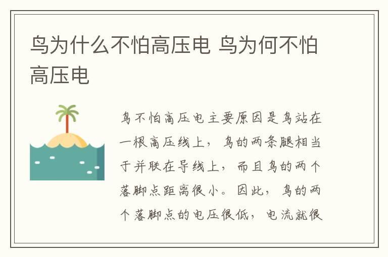 鸟为什么不怕高压电 鸟为何不怕高压电