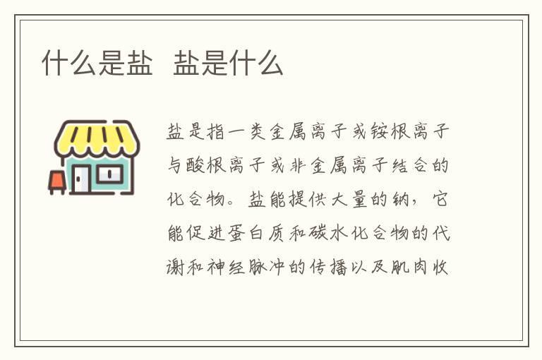 什么是盐 盐是什么