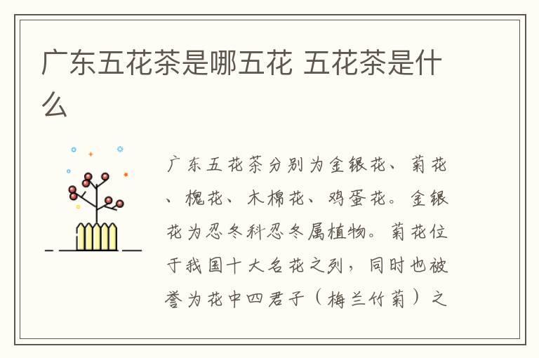 广东五花茶是哪五花 五花茶是什么