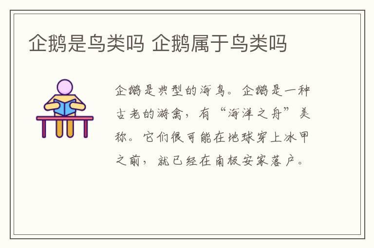 企鹅是鸟类吗 企鹅属于鸟类吗