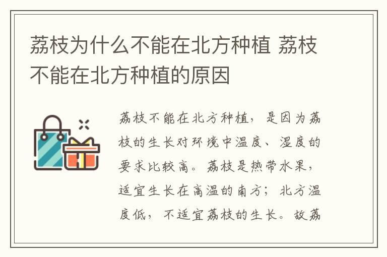 荔枝为什么不能在北方种植 荔枝不能在北方种植的原因