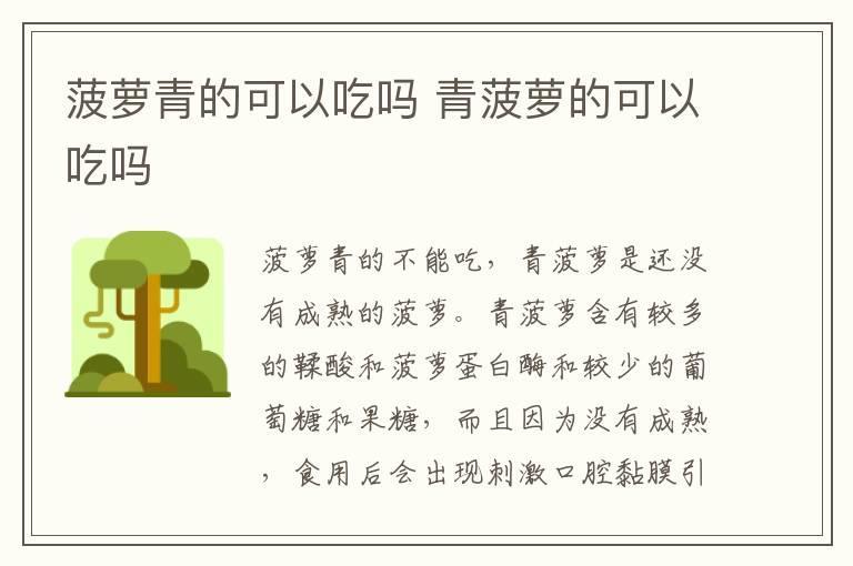 菠萝青的可以吃吗 青菠萝的可以吃吗