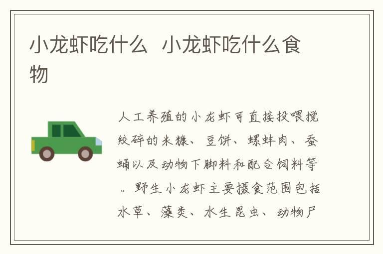 小龙虾吃什么 小龙虾吃什么食物