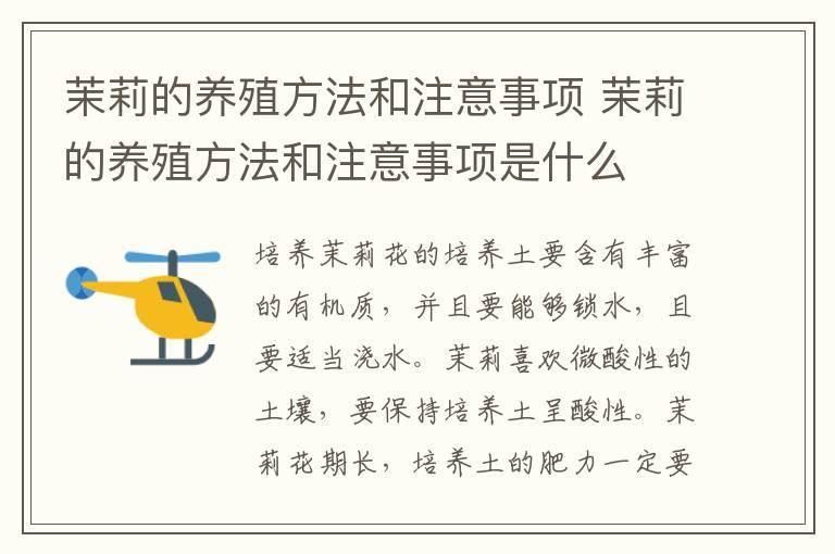 oa是什么意思 oa可以干什么