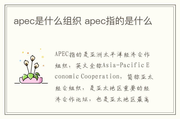 apec是什么组织 apec指的是什么