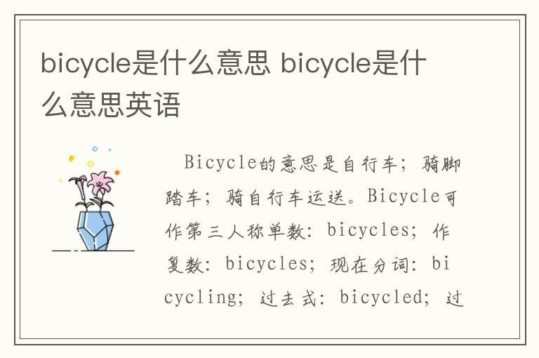 bicycle是什么意思 bicycle是什么意思英语