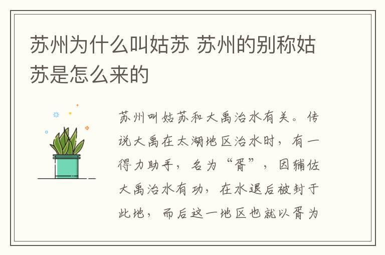 护师报考条件 护师的报考条件有哪些