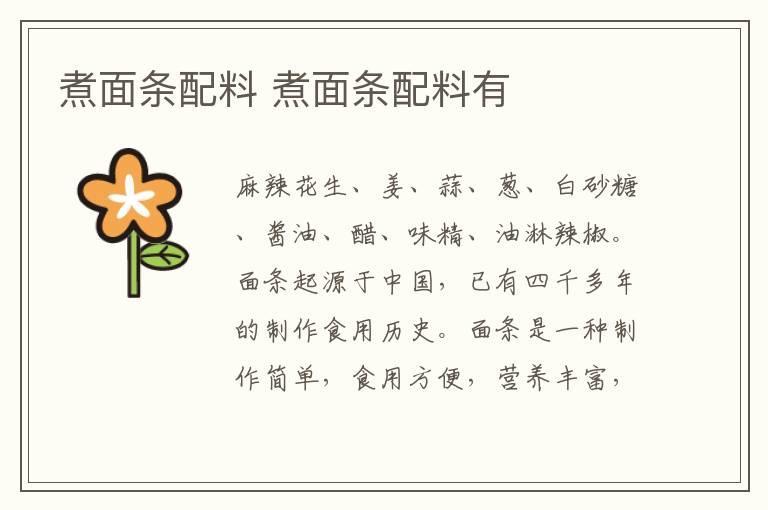 煮面条配料 煮面条配料有
