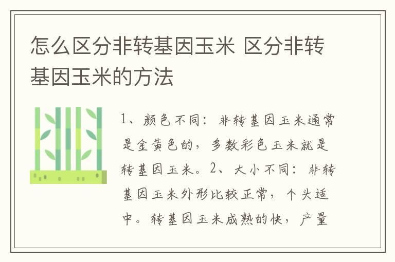 怎么区分非转基因玉米 区分非转基因玉米的方法