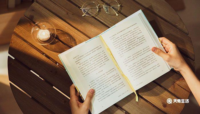 引言怎么写