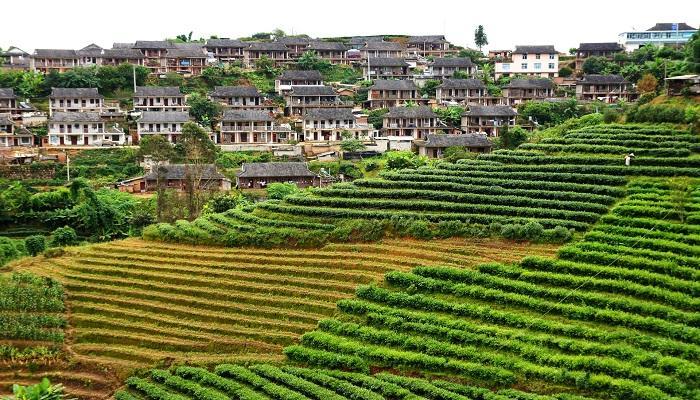 西双版纳是云南哪个市