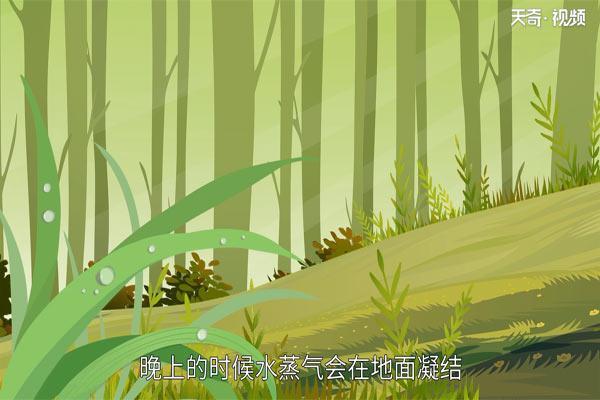 白露是什么时候