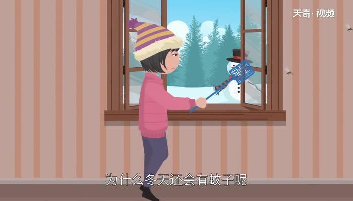 为什么冬天还有蚊子 冬天有蚊子的原因