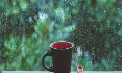 有什么现象说明要下雨了