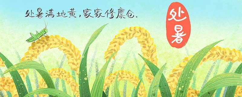 处暑是什么季节的节气