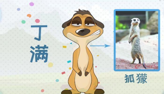 丁满是什么动物 丁满是什么
