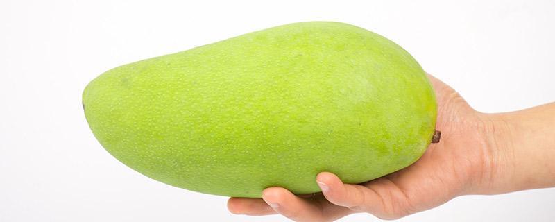 芒果没熟能吃吗