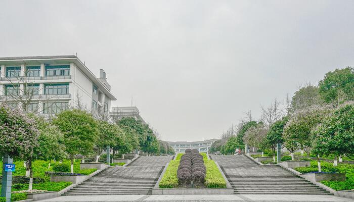 学前教育专科学校排名