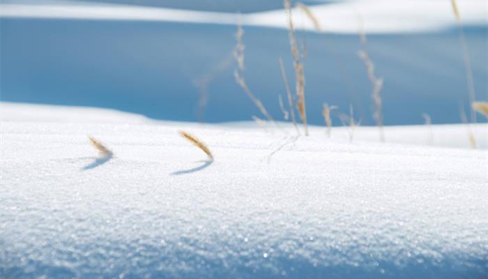 冬雪雪冬指的是哪四个节气
