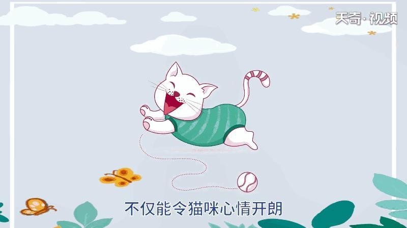 猫为什么掉毛很厉害 猫为何掉毛很厉害