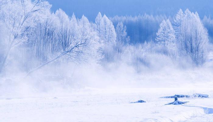 冬雪雪冬指的是哪四个节气