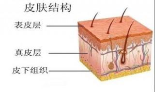 皮肤角质层薄如何护理 看了就知道