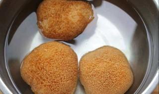 鲜猴头菇需要煮多久能熟 怎么做好吃