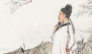苏轼被后世称为是什么 快来看具体答案了