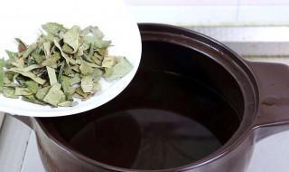 喝了枇杷叶煮水的禁忌 一起来看看