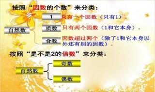如何快速分辨质数合数 质数和合数如何分辨