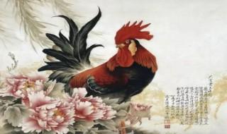 陶犬瓦鸡的由来 陶犬瓦鸡怎么来的