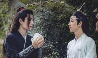魏无羡被扔下乱葬岗是哪一集 大家不妨去看看