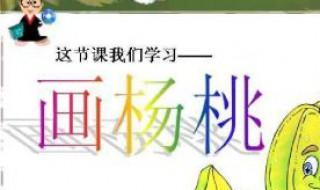 画杨桃告诉我们什么道理 画杨桃对我们的启发
