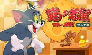 vivo手机怎么玩不到猫和老鼠 vivo手机为什么不能玩猫和老鼠