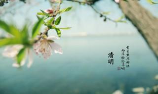 每年清明节是固定的吗? 清明节的俗称