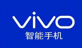 vivox20支持无线充电吗 vivox20信息