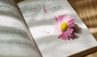 论语语录体散文的特征 你了解吗?