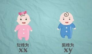 什么时候最容易怀孕生男孩 最容易怀孕生男孩的状况介绍