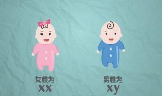 生男生女是命中注定的吗 生男生女是命中注定还是靠机遇？